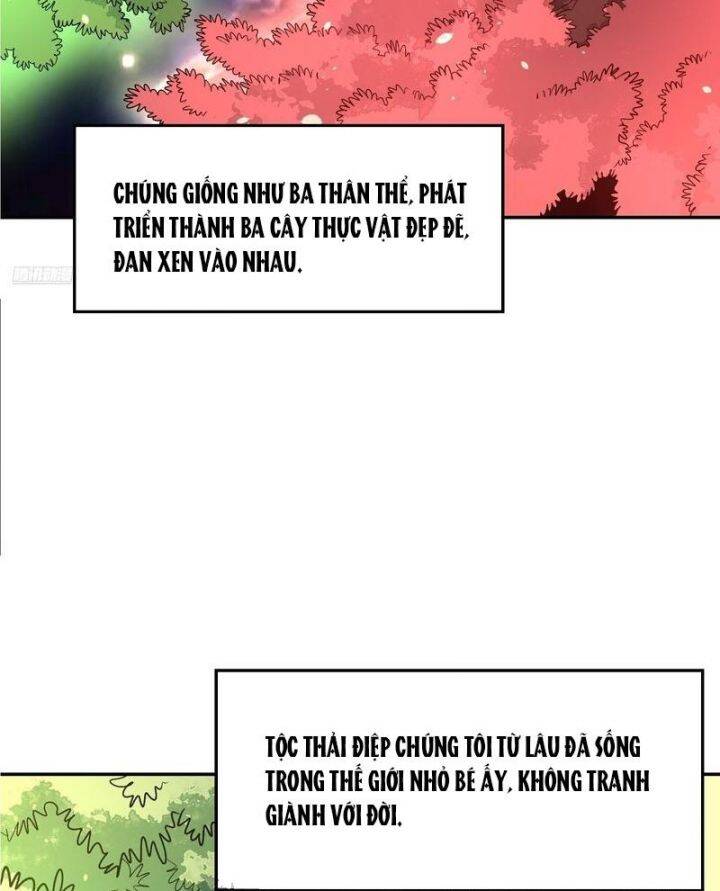 nguyên lai ta là tu tiên đại lão Chapter 494 - Next Chapter 495